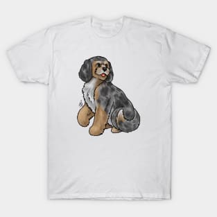 Dog- Cockapoo - Blue Merle T-Shirt